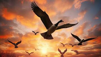 uccelli di la libertà natura oche gregge nel il cielo foto