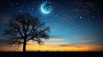 Luna e Venere sopra un' staglia albero contro un' blu e giallo notte cielo con morbido messa a fuoco alberi nel il sfondo foto
