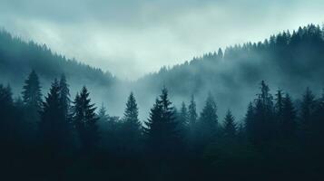 abete foresta su montagna versante con nebbioso nebbia e colore tonificante foto