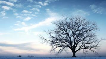 inverno albero silhouette contro nuvoloso cielo sfondo foto