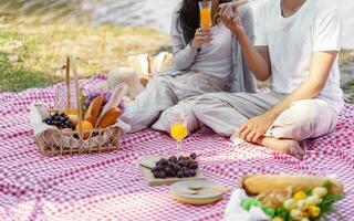 picnic pranzo pasto all'aperto parco con cibo picnic cestino. godendo picnic tempo nel parco natura all'aperto foto