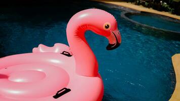 estate vacanza divertimento divertente rosa fenicottero galleggiante nel un' nuoto piscina di moda estate concetto foto