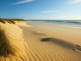 il sabbia dune e erba su il spiaggia ai generato foto