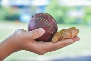 vecchio pelle cricket palla Tenere nel mano di alunno nel davanti di scuola cricket Tribunale, morbido e selettivo messa a fuoco su sfera, tradizionale sport e cricket sport amante in giro il mondo concetto. foto