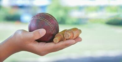 vecchio pelle cricket palla Tenere nel mano di alunno nel davanti di scuola cricket Tribunale, morbido e selettivo messa a fuoco su sfera, tradizionale sport e cricket sport amante in giro il mondo concetto. foto