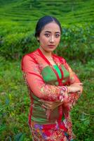 un asiatico donna in piedi e in posa tra il tè le foglie foto