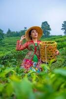 un' tè foglia contadino è godendo il Visualizza di il tè giardino mentre Tenere un' cestino foto