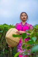 un indonesiano donna nel un' rosa vestito Tenere un' bambù cappello nel sua mani foto