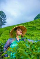 un asiatico adolescente è apprendimento per trasportare un' bambù cestino mentre nel il mezzo di un' tè giardino foto