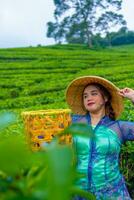 un asiatico contadino indossare un' cappello fatto di bambù mentre nel il mezzo di un' tè piantagione foto