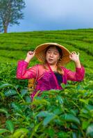 un' tè foglia contadino è raccolta tè le foglie mentre indossare un' bambù cestino e cappello nel il mezzo di un' tè piantagione foto