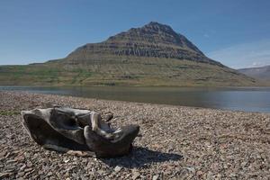 holmatindur, iconica montagna punto di riferimento a eskifjordur, islanda foto