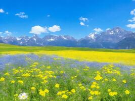 fiori selvatici nel un' prato con montagne nel il sfondo ai generato foto