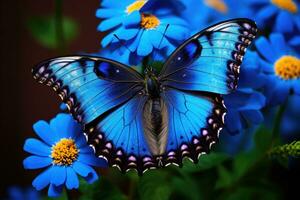 farfalla su blu fiore. avvicinamento di la farfalla. bellissimo farfalla seduta su un' blu fiore, ai generato foto