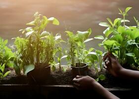 mani di persone nutrimento verde impianti. mondo pianta giorno, ambiente giorno concetto. ai generato foto