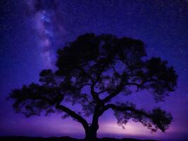 un' maestoso albero staglia contro un' fondale di il vasto notte cielo pieno con stelle ai generato foto