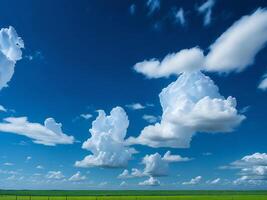 un' grande campo con un' blu cielo e nuvole ai generato foto