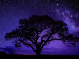 un' maestoso albero staglia contro un' fondale di il vasto notte cielo pieno con stelle ai generato foto