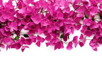 bouganville fiore modello sfondo. fiore sfondo struttura. generativo ai foto