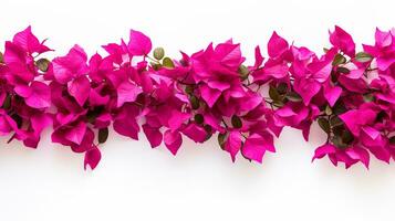 bouganville fiore modello sfondo. fiore sfondo struttura. generativo ai foto