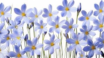 blu con gli occhi erba fiore modello sfondo. fiore sfondo struttura. generativo ai foto