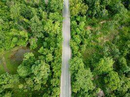 aereo fotografia, verde foresta con strada foto