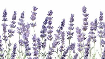 lavanda fiore fantasia sfondo. fiore struttura sfondo. generativo ai foto