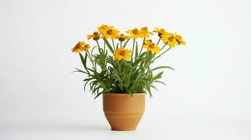 foto di Helenium autumnale fiore nel pentola isolato su bianca sfondo. generativo ai