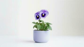 foto di viola del pensiero fiore nel pentola isolato su bianca sfondo. generativo ai