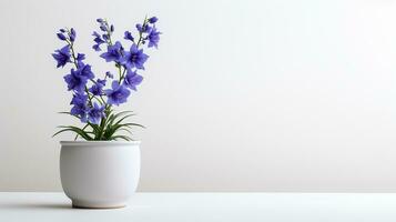 foto di larkspur fiore nel pentola isolato su bianca sfondo. generativo ai