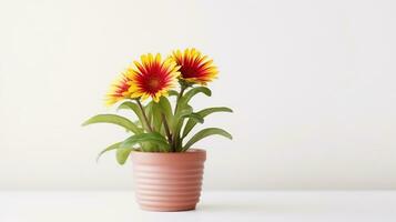 foto di gaillardia fiore nel pentola isolato su bianca sfondo. generativo ai