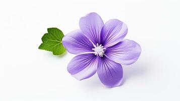 foto di bellissimo viola fiore isolato su bianca sfondo. generativo ai