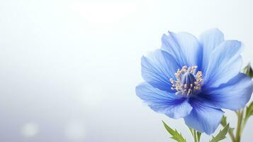 foto di bellissimo tweedia fiore isolato su bianca sfondo. generativo ai