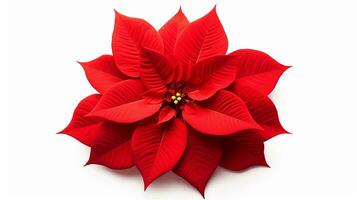 foto di bellissimo poinsettia fiore isolato su bianca sfondo. generativo ai