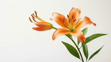 foto di bellissimo lilium fiore isolato su bianca sfondo. generativo ai