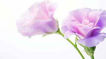 foto di bellissimo lisianthus fiore isolato su bianca sfondo. generativo ai