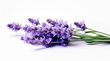 foto di bellissimo lavanda fiore isolato su bianca sfondo. generativo ai