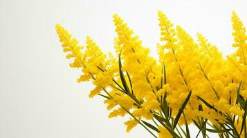 foto di bellissimo verga d'oro fiore isolato su bianca sfondo. generativo ai