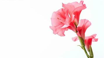 foto di bellissimo gladiola fiore isolato su bianca sfondo. generativo ai