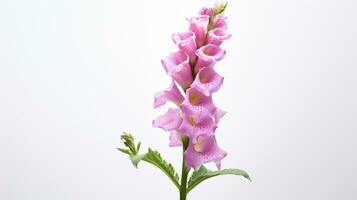 foto di bellissimo digitale fiore isolato su bianca sfondo. generativo ai