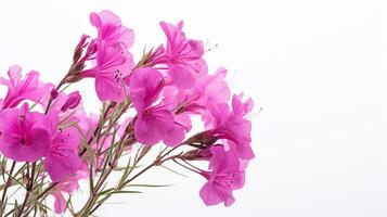 foto di bellissimo fireweed fiore isolato su bianca sfondo. generativo ai