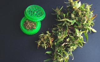 bocciolo di cannabis secco e grinder, uso classico della marijuana vista dall'alto foto