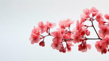 foto di bellissimo corallo campane fiore isolato su bianca sfondo. generativo ai