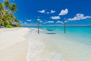 tropicale spiaggia sfondo come estate paesaggio con spiaggia swing o amaca e bianca sabbia e calma mare per spiaggia striscione. Perfetto spiaggia scena vacanza e estate vacanza concetto. natura paesaggio foto