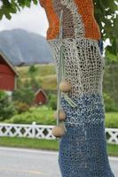 albero lavorato a maglia a eidfkord, norvegia foto