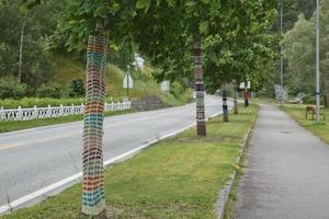 alberi lavorati a maglia a eidfkord, in norvegia foto