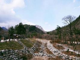 parco nazionale di seoraksan. Corea del Sud. dicembre 2017 foto