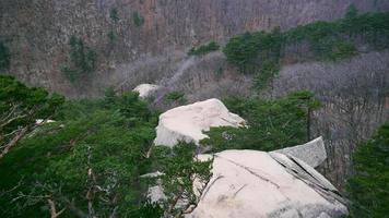 vista in basso a una foresta dalla montagna del parco nazionale di seoraksan. Corea del Sud foto