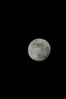 il Luna è visto nel il buio cielo foto