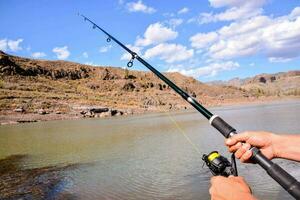 un' persona Tenere un' pesca asta al di sopra di il acqua foto